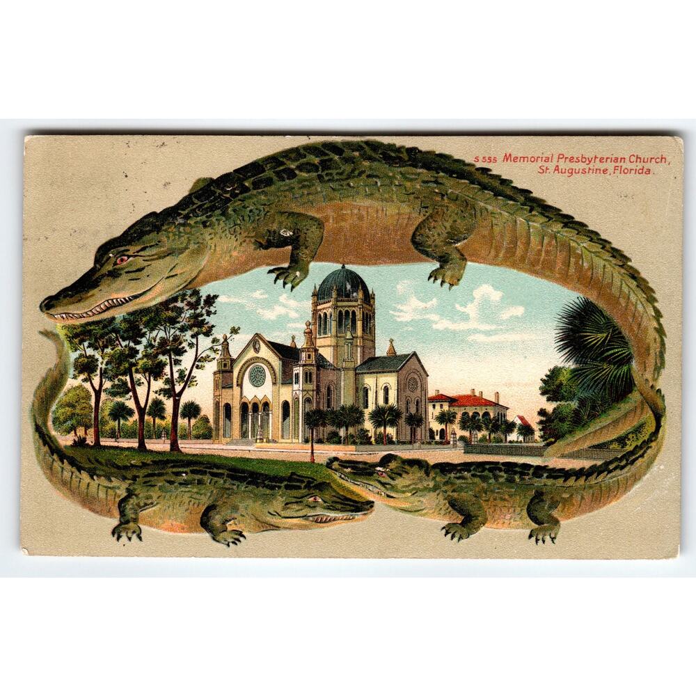 Alligator Border Postcard St Augustine Florida Presbyterian Church Embossed 1908